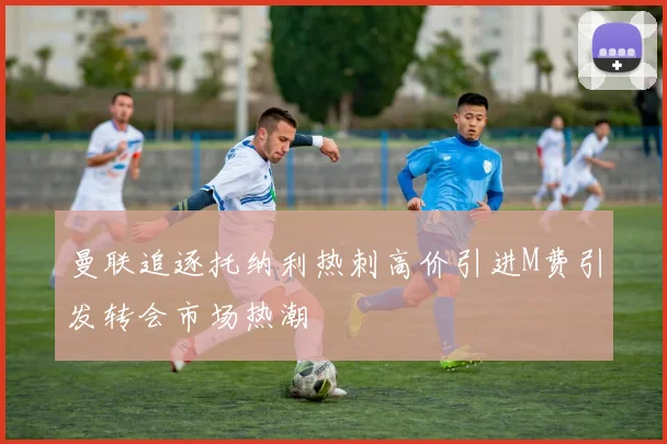 曼联追逐托纳利热刺高价引进M费引发转会市场热潮